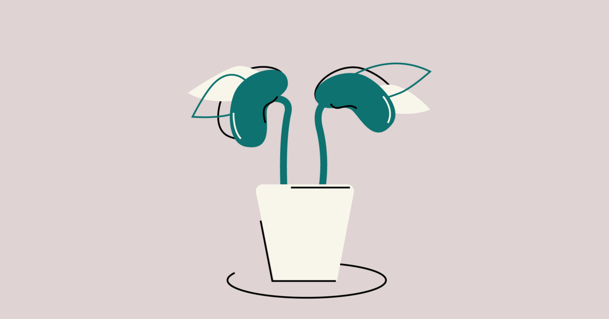 Acute Cystitis With Hematuria How It Can Be Treated Acute cystitis with hematuria how it can be treated